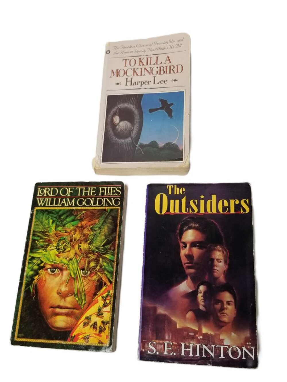 Mockingbird Outsiders Lord of the Flies Book Lot 3 Homeschool Teaching